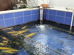 -北京龙庆四季香农家饭庄·灶台鱼·碳烤虹鳟鱼(龙庆峡店)