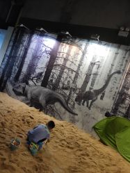 -恐龙探索乐园(磁器口店)