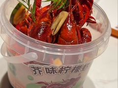 -杨氏青龙虾·螃蟹(托乐嘉店)