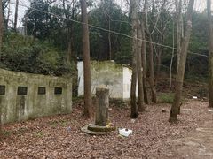 -午潮山国家森林公园