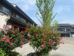 -雅达·阳羡溪山小镇中心