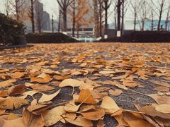 -两江幸福广场