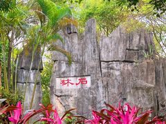 -深圳国际园林花卉博览园