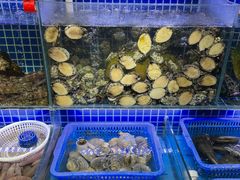 水产区-必点海鲜·鲅鱼水饺(鞍山西道店)