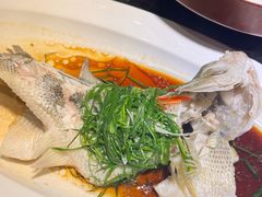 -院里寻菜·精致庭院菜(观沙岭店)