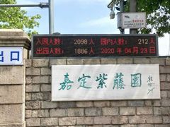 -嘉定紫藤园