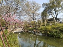 -浔味·山屿湖·正宗淳牌全鱼宴老字号