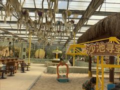 -南宫五洲植物乐园