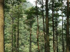 android_upload_pic-藏龙百瀑风景区