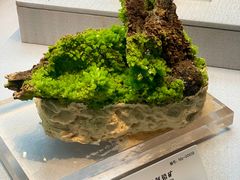 -湖南省地质博物馆