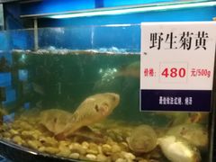 -莆鑫海鲜城(浏河店)