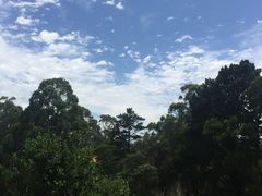 -普芬比利蒸汽火车