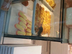 android_upload_pic-BreadTalk面包新语(长寿路地铁站店)