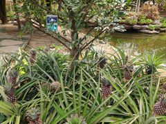 -南通洲际绿博园