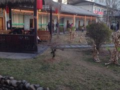 iphone_upload_pic-朝伟清真铜瓢牛肉馆(三十年老·店)