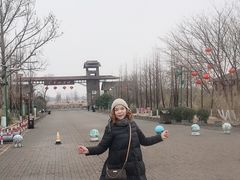 -泗洪洪泽湖湿地景区