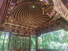 -汇龙潭