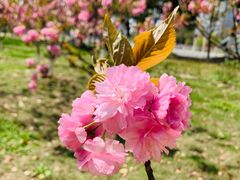 -天鹅湖体育公园