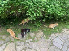 -南山风景名胜区