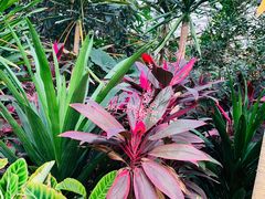 -石家庄市植物园