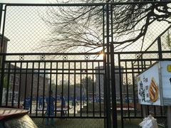 -天津市南开区科技实验中学