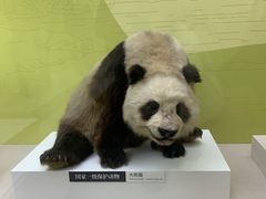 -国家自然博物馆