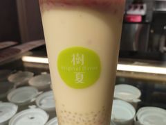 白玉杨枝甘露-树夏(鹭洲里店)