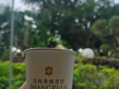 -大堂酒廊(北海香格里拉大酒店)