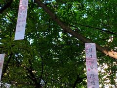 -西安大兴善寺