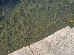 -韶山毛泽东同志故居