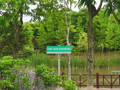 -狼山风景名胜区