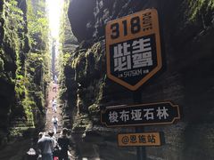 -梭布垭石林景区