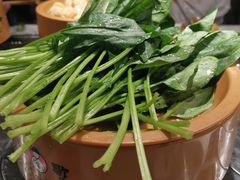 菠菜-龍歌自助小火锅(崂山丽达店)