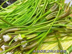 -双廊杨记石锅鱼石锅牛肉