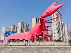 -虾皇(龙虾城旗舰店)