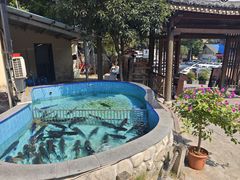 -湘力力小院·鱼汤泡饭(枫林路店)