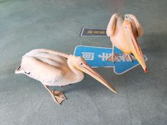 -海合安武汉极地海洋公园