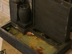 -新加坡泰国村酒楼(五角场店)