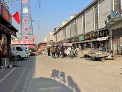-中环花鸟鱼虫市场
