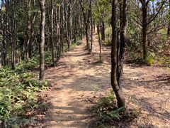 -梧桐山风景名胜区