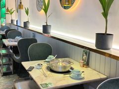 -探窝·竹笙椰子鸡(杨箕店)