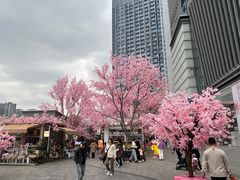 -首开·龙湖成都西宸天街