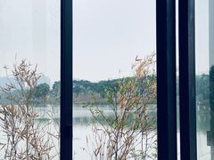 -海珠湖公园