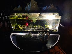 -C&R西班牙餐厅