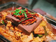 毛血旺烤鱼-探鱼·鲜青椒爽麻烤鱼(苏宁广场店)