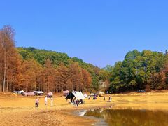 -青龙山国家森林公园