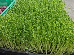 -白沙洲农产品大市场-海鲜交易区