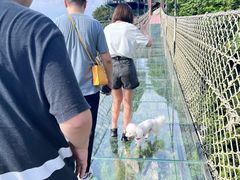 -梦幻奥陶纪景区