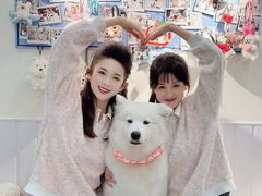 -汪说·狗咖·拼豆·宠物周边DIY(旺城大厦店)