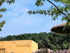 -沈阳森林动物园